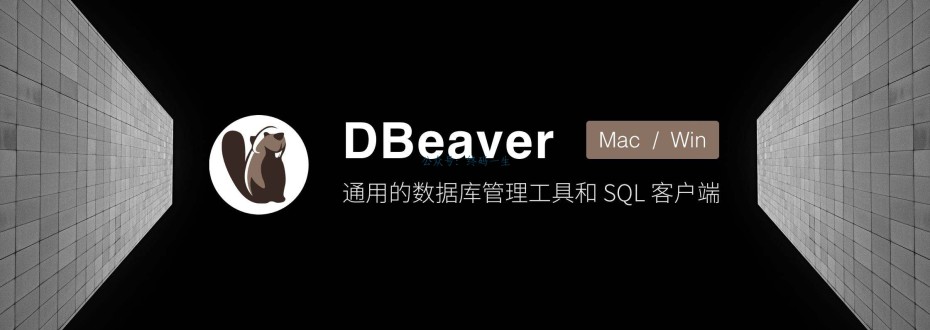 DBeaver 最新旗舰版 免费永久激活