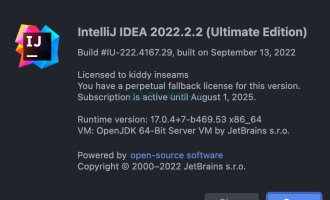 IntelliJ IDEA2022.2.2破解教程永久激活码最新激活工具Mac版（亲测 永久激活）