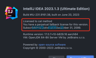 IntelliJ IDEA 2023.1.3 激活码 永久激活教程 破解2099 完美破解 亲测可用