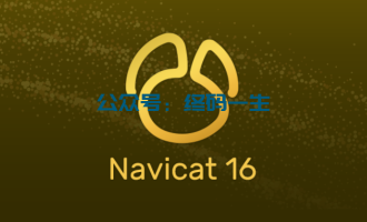 Navicat Premium for Windows 16.3.2 汉化版 免安装 绿色破解版