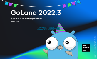 Goland2022.3.1永久破解教程 有效激活码 最新激活教程 亲测