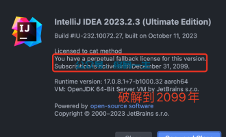 IntelliJ IDEA 2023.2.3 最新激活码 激活2099 图文安装永久破解教程 附带工具